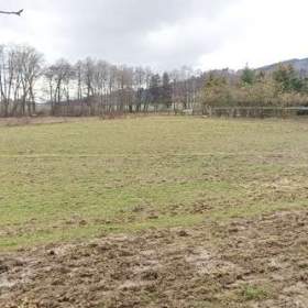 Oplocený pozemek cca 11.000m2 pro koně, nebo domácí zvířata, maringotka, přístřešek... / 19458169