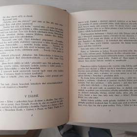 Foto inzerátu Šimon kouzelník - František Hamza (vyd. 1923)