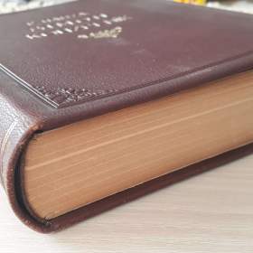 Foto inzerátu Šimon kouzelník - František Hamza (vyd. 1923)