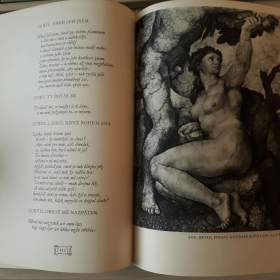 Foto inzerátu Michelangelo - Titan a člověk, Výbor díla (vyd. 1941)