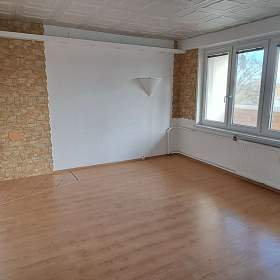 Pronájem bytu / 19466003