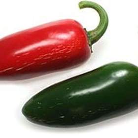 Sazenice Chilli Jalapeňo / 19466988