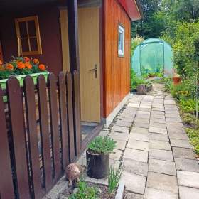 Prodej zahradní chatky s pergolou / 19475091