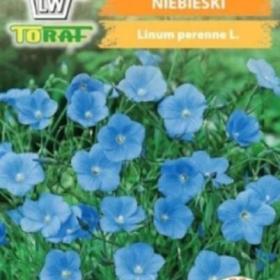 Len vytrvalý, modrý (semena) / 19476358