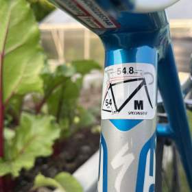 Silniční kolo specialized / 19477490