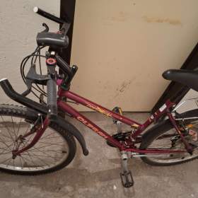 Fotka k inzerátu Dívčí kolo / 19287801