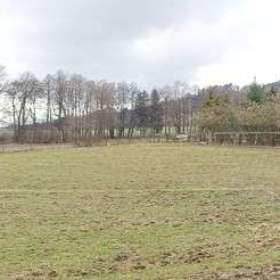 Pronájem pozemku 10.000m2 pro koně, nebo domácí zvířata...  / 19481509