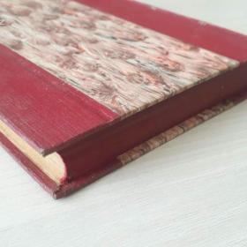 Foto inzerátu Boj o lásku (Sergěj Panin) - Georges Ohnet - 1924