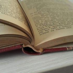 Foto inzerátu Boj o lásku (Sergěj Panin) - Georges Ohnet - 1924