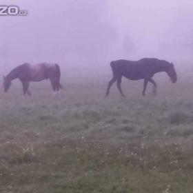 Foto inzerátu Zralý VŠ, 62 – pro pár, který ví, co chce