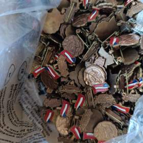 ODZNAKY- DO KONCE LISTOPADU BALÍKOVNA ZA 50,-  Kč / 19495884