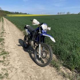Yamaha DT 125 R / 19499434