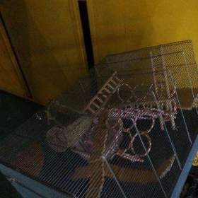 Klec s vaničkou + mnoho příslušenství.75cm délka,50cm výška,45cm šířka / 19505348