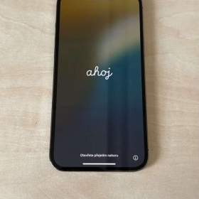 iPhone 12 Pro Max 256GB / 19511712