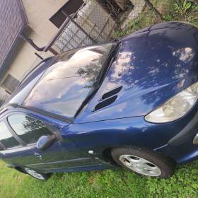 Peugeot 206 na náhradní díly / 19513872