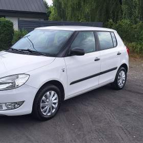 fabia / 19514974