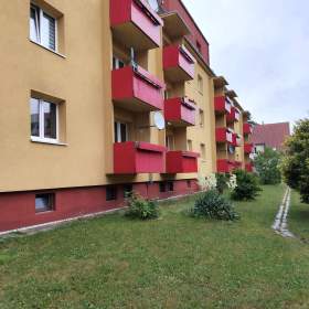 3+1 Rybova ul. Opava u nemocnice / 19515158