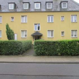 Fotka k inzerátu Nabízím živý plot / 19237160