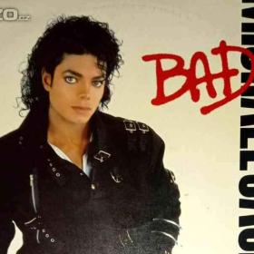 Fotka k inzerátu  Prodám LP zahraničních zpěváků a Výběr / 19195876