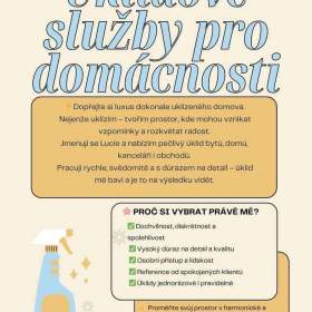 Úklidové služby  / 19520095