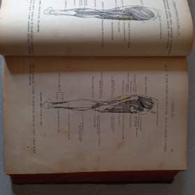 Foto inzerátu Kneippova velekniha - Šebestian Kneipp (1905)