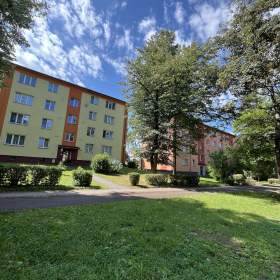 Prodej družstevního bytu 3+1 70,6 m² / 19528337