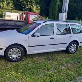 GOLF4 Variant / 19530494