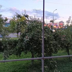 Foto inzerátu Rodinný dům 6+2, 3 garáže, Opava