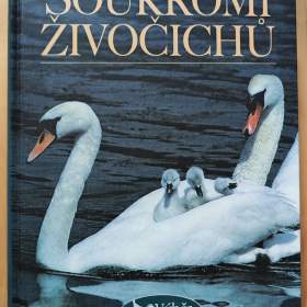 Fotka k inzerátu Soukromí živočichů / 16404880