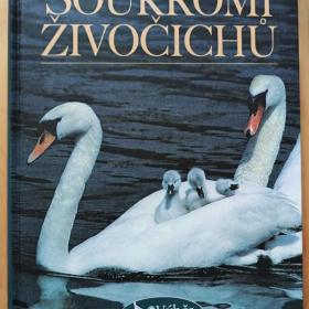 Soukromí živočichů / 19535839