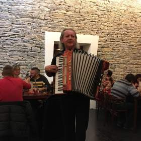 Fotka k inzerátu Harmonikář / 13511531