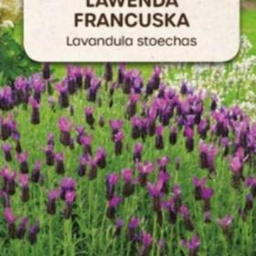 Levandule francouzská (semena) / 19549997