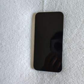 iPhone 13 Pro Max  / 19550408
