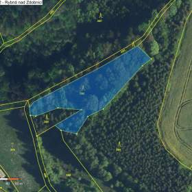 Lesní pozemky Rybná nad Zdobnicí a Helvíkovice 4.350 m2 / 19555419