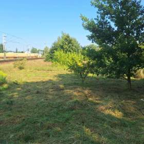 2000 m2 v Borohradku, pozemek / 19555448