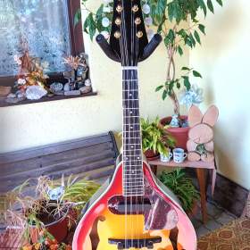 Elektroakustická mandolína  / 19563354