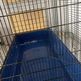 Foto inzerátu Klec Alexia činčila, fretka, osmák 100 x 53 x 120 výška, spodek tmavě modrý