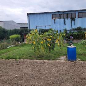 Fotka k inzerátu Zahrada Opava / 19513629