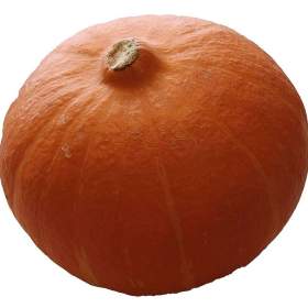 Tykev Hokkaido orange -  semena / 19569916
