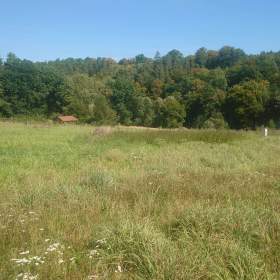 Fotka k inzerátu Stavební pozemky v O. -  Plesné. / 18327370