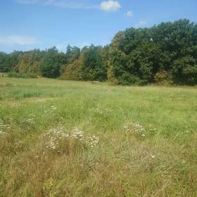 Foto inzerátu Stavební pozemky v O. - Plesné.