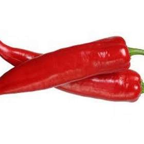 Paprika Komtesa F1 -  semena / 19573911