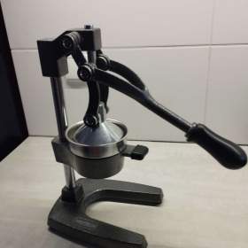 Lis na citrusy. / 19575346