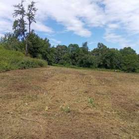 Pozemek v rychlebských horách / 19578712