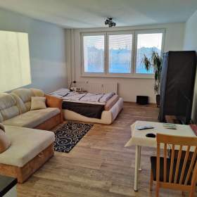 Pronájem bytu 1+kk 32m2 po rekonstrukci, Ant. Sovy, Opava / 19578721