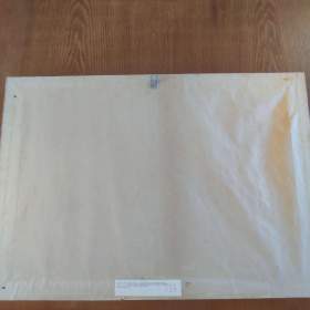 Foto inzerátu Obraz - Čapek