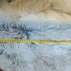 Foto inzerátu Krásny a hřejivý pelíšek 