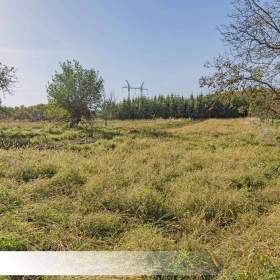 Foto inzerátu Venkovské stavení v Dolním Těrlicku, pozemek 22 936 m2