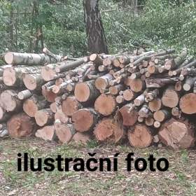 Prodám palivové dřevo  / 19603796