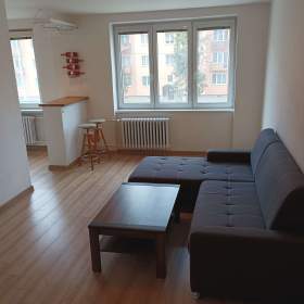 Pronájem bytu 2+1 / 19606361